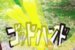 �C�i�Y�}�C���u���@�S�b�h�n���h�Č�